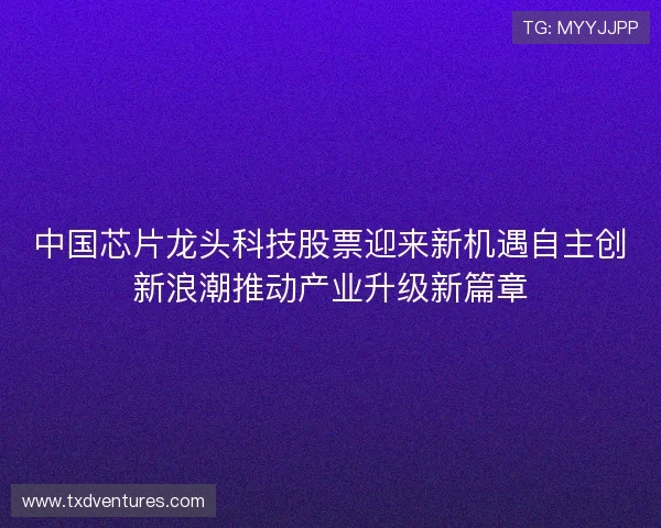 中国芯片龙头科技股票迎来新机遇自主创新浪潮推动产业升级新篇章